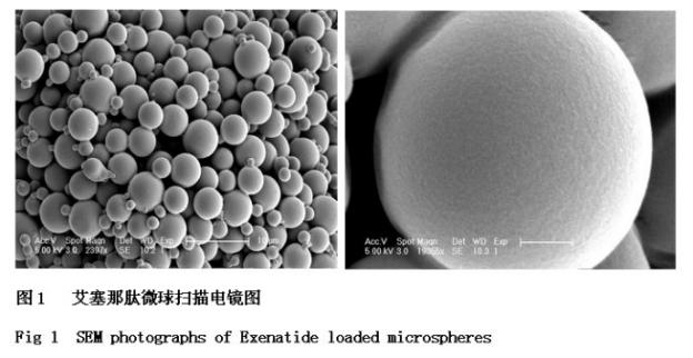微球類(lèi)緩控釋制劑
