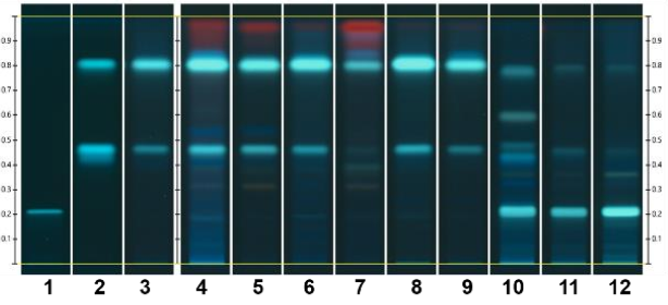 松果菊薄層色譜結(jié)果圖譜