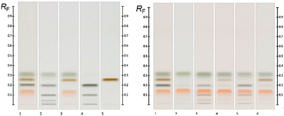  HPTLC (高效薄層色譜) 麥盧卡蜂蜜化合物檢測(cè)