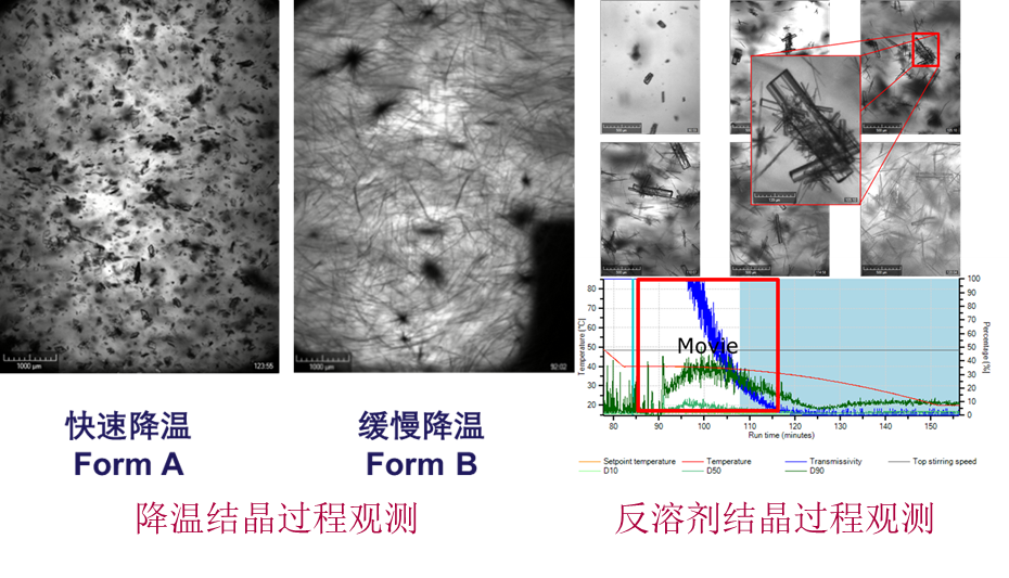 Technobis Crystalline在線晶粒觀測(cè)模塊以監(jiān)控結(jié)晶過程